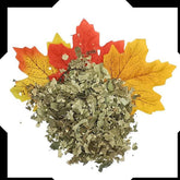 Birch Leaves Pack